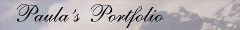 Portfolio Banner